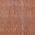 Western Red Cedar Boards & Timbers